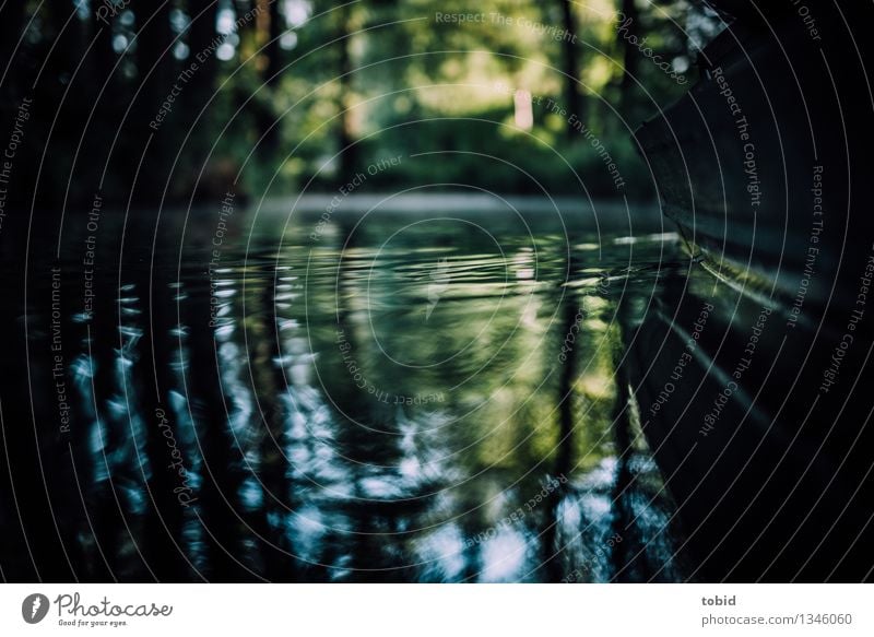 Spreedorado | Idylle Natur Landschaft Pflanze Wasser Schönes Wetter Baum Wald Flussufer Bach Schwimmen & Baden Flüssigkeit Wasserfahrzeug Kahn Wellen