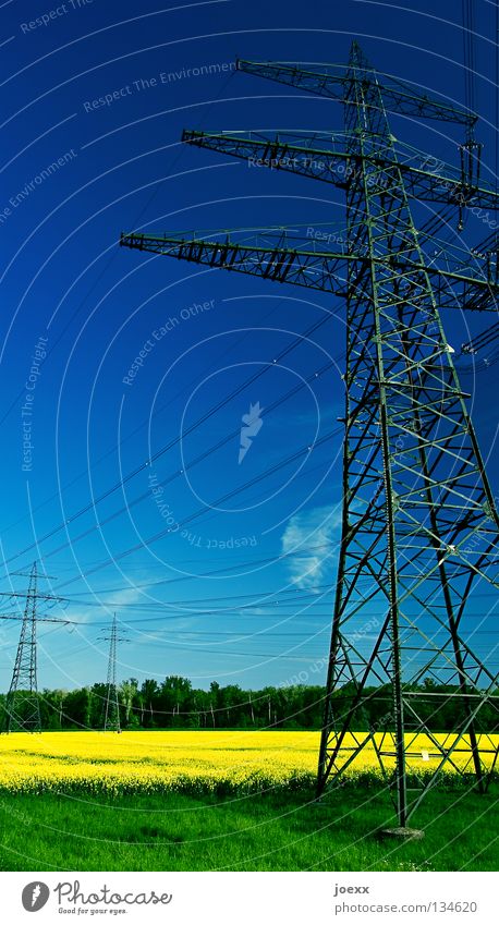 Energiefelder Feld Biodiesel Biokraftstoff gelb grün Landwirtschaft Erneuerbare Energie Raps Rohstoffe & Kraftstoffe Stahl Elektrizität Strommast