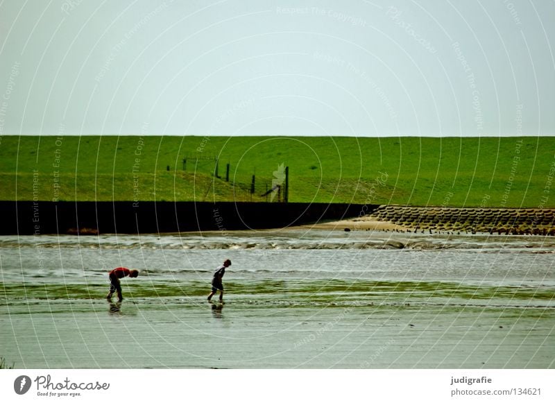 Watt Wattenmeer Ebbe Deich Wiese grün Schlamm Kind Suche Spielen Freizeit & Hobby Ferien & Urlaub & Reisen Küste Strand Umwelt Farbe Nordsee Himmel laufen