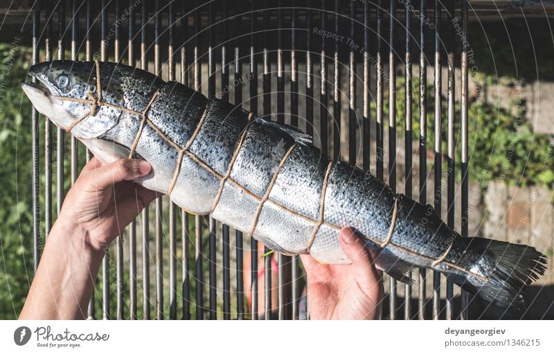 Rohe Lachsfische auf Grill. Fleisch Meeresfrüchte Abendessen Garten frisch rosa rot Schiffsplanken roh Zeder fein gebraten bereit kochen & garen Braten