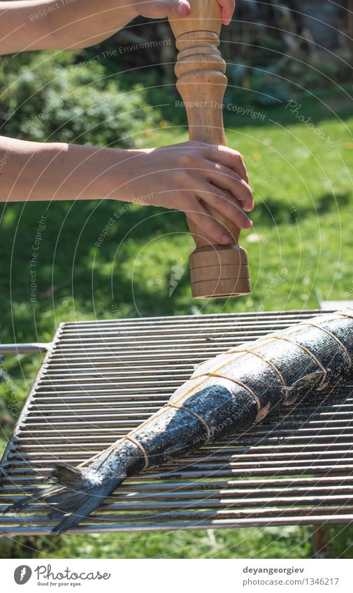 Rohe Lachsfische auf Grill Fleisch Meeresfrüchte Abendessen Garten frisch rosa rot Schiffsplanken roh Zeder fein gebraten bereit kochen & garen Braten