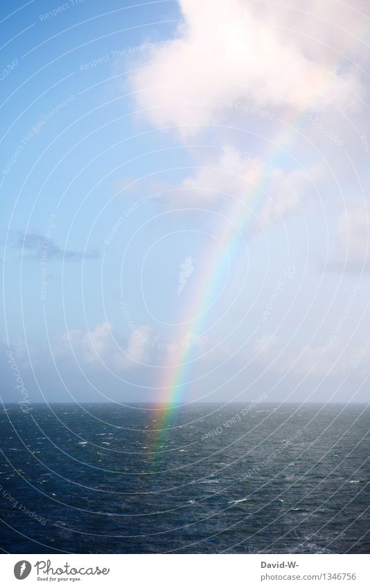 Resultat aus Sonne und Regen Umwelt Natur Urelemente Luft Himmel Wolken Sonnenlicht Sommer Herbst Klima Wetter Schönes Wetter außergewöhnlich elegant maritim