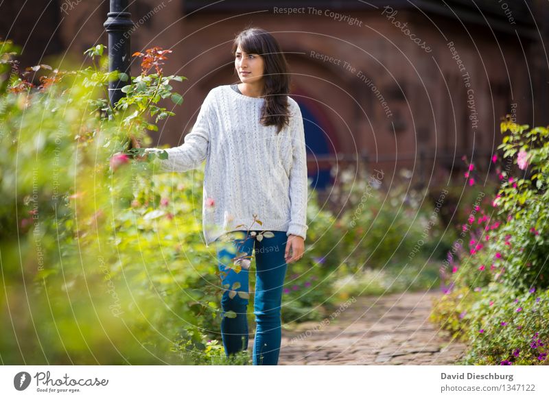 Grüne Oase feminin Junge Frau Jugendliche 1 Mensch 18-30 Jahre Erwachsene Pflanze Tier Frühling Sommer Herbst Schönes Wetter Garten Park Stadt Jeanshose