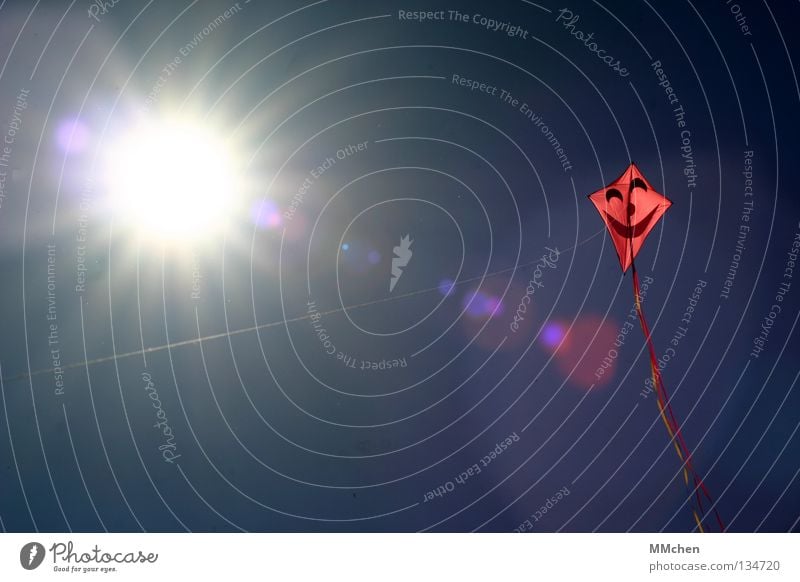 Sonne macht glücklich Drache Schnur festhalten befestigen steigen Schweben schwindelfrei hoch Luft rot Vogel Flugzeug Licht grell Freizeit & Hobby Blick Neugier