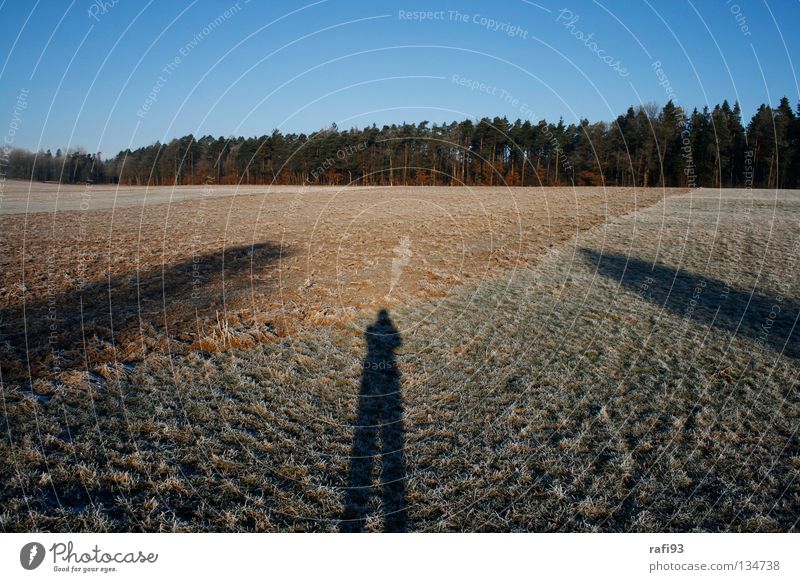 Ich...und zwei Bäume Baum Feld Gras Wald Himmel braun Frühling tree trees ich field fields grass blue sky brown blau Frost Raureif