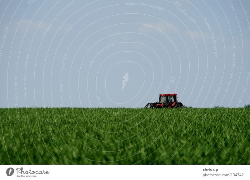 Traktor, Feld, Himmel Landwirtschaft Gemüsebau Biologische Landwirtschaft ökologisch Nutzfahrzeug schön rein Baum minimalistisch blau grün braun Bauernhof