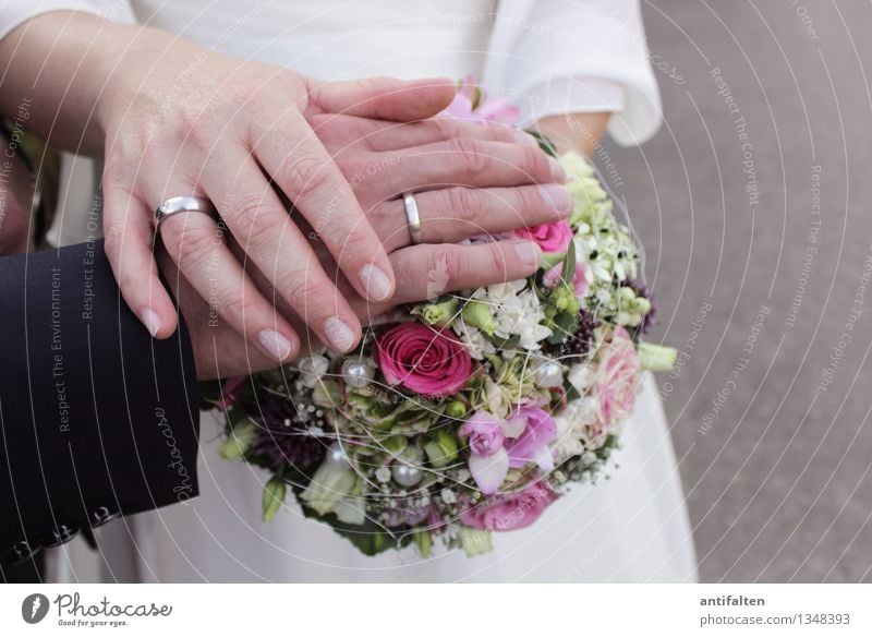 Bund fürs Leben Mensch Frau Erwachsene Mann Paar Partner Körper Arme Hand Finger Ringfinger 2 30-45 Jahre Blume Blumenstrauß Anzug Brautkleid Schmuck Ehering