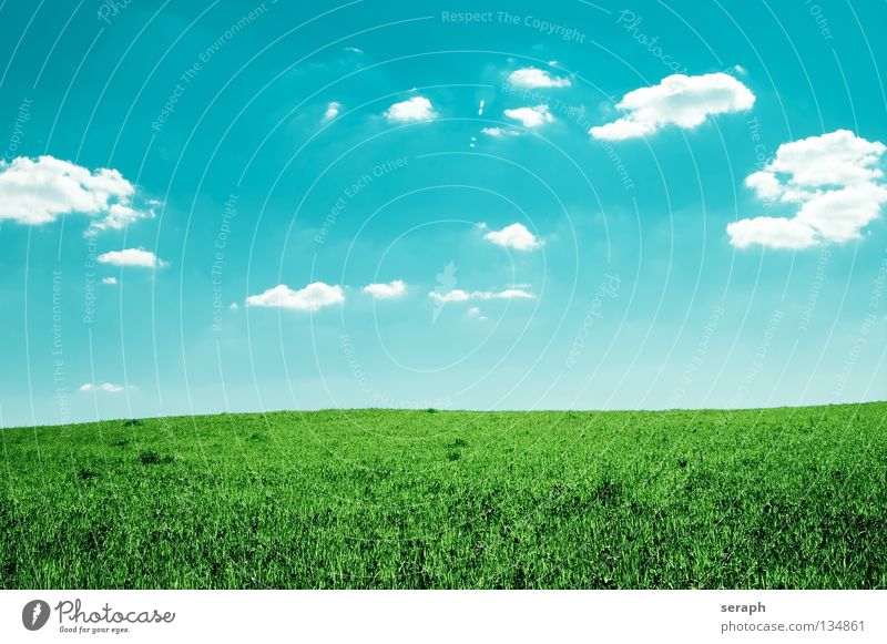 Leichtigkeit Hintergrundbild Wiese Feld Himmel Wolken Rasen Natur Gras Landschaft Blumenwiese Freiheit Ferne Landwirtschaft Horizont minimalistisch natürlich