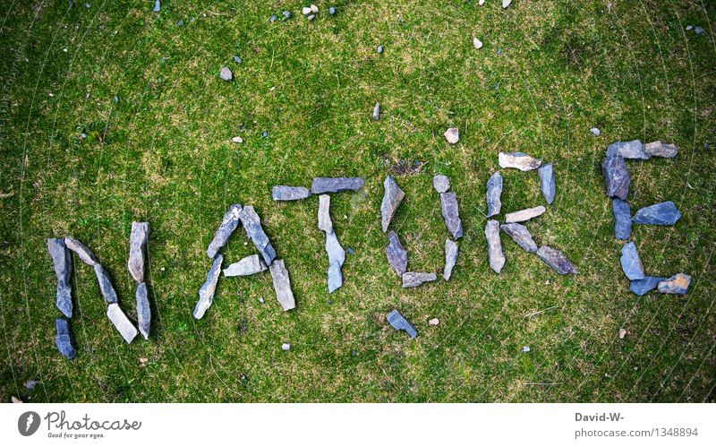 Natur Pur Kunst Kunstwerk Umwelt Landschaft Sommer Herbst Schönes Wetter Gras Wiese bedrohlich fantastisch grün Frühlingsgefühle Kraft Verantwortung achtsam