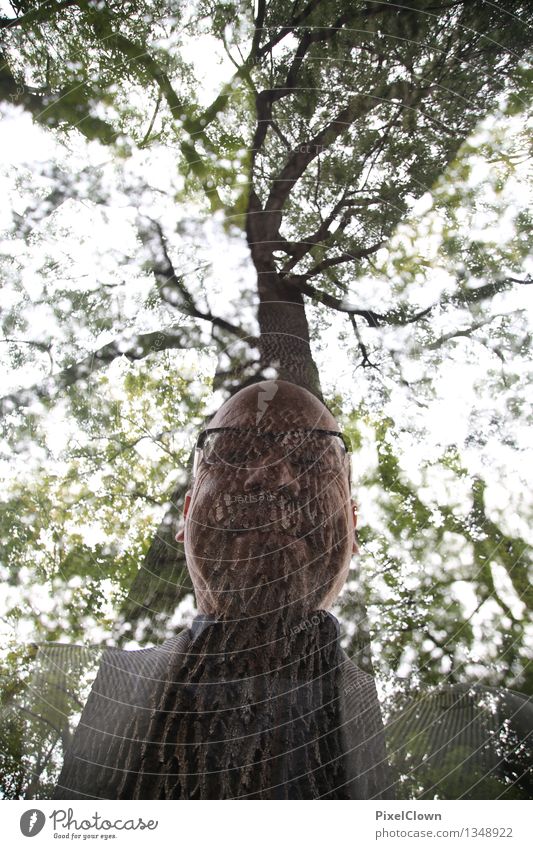 Waldschrat Freude Ferien & Urlaub & Reisen maskulin Körper 1 Mensch 45-60 Jahre Erwachsene Kunst Natur Himmel Pflanze Baum Bart Blühend Lächeln trendy verrückt