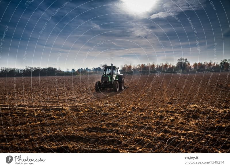 Männertraum Gesundheitswesen Gesunde Ernährung Allergie Arbeit & Erwerbstätigkeit Landwirt Landwirtschaft Forstwirtschaft Erneuerbare Energie Umwelt Natur