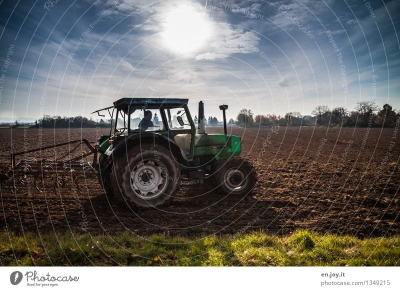 bestellen Gesundheitswesen Gesunde Ernährung Allergie Beruf Landwirtschaft Forstwirtschaft Erneuerbare Energie 1 Mensch Natur Landschaft Erde Himmel Horizont