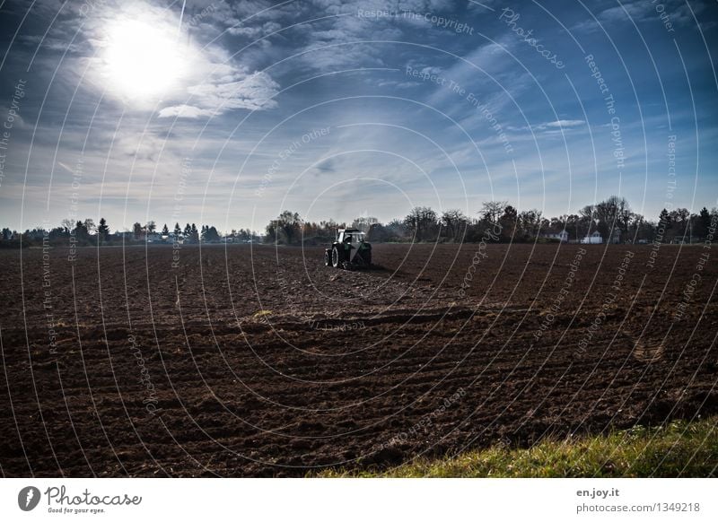 hin und her Gesunde Ernährung Allergie Arbeit & Erwerbstätigkeit Beruf Landwirt Landwirtschaft Forstwirtschaft Erneuerbare Energie Landschaft Erde Himmel Sonne