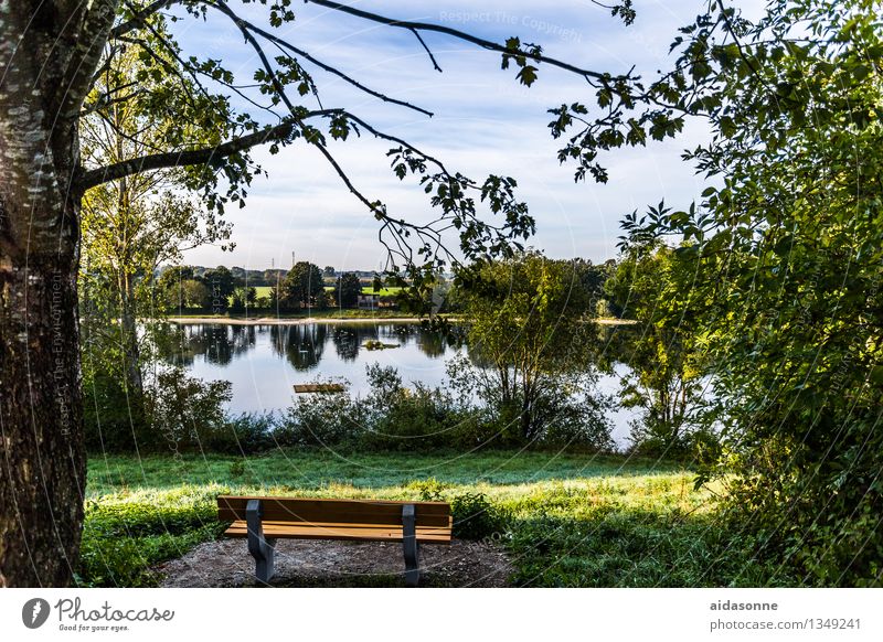 landschaft in Dachau Landschaft Sommer Seeufer Stimmung Gelassenheit Zufriedenheit Bayern Bank Wald Farbfoto Außenaufnahme Menschenleer Tag