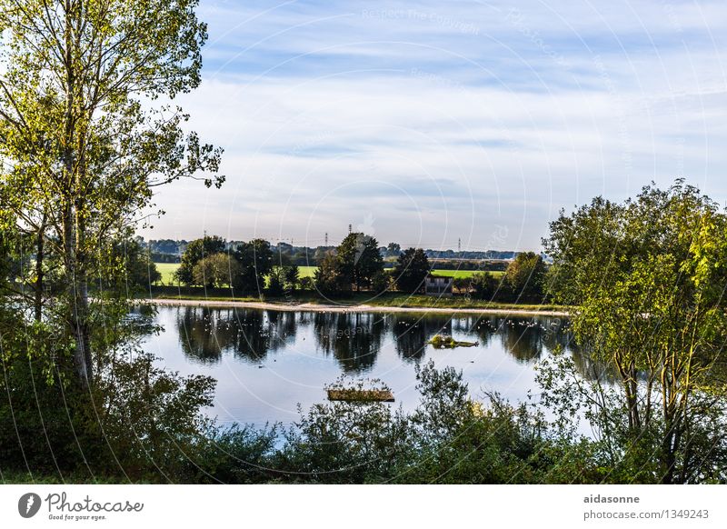 See in Dachau Umwelt Landschaft Sommer Bayern Europa Menschenleer Verantwortung achtsam Wachsamkeit Freundlichkeit Vorsicht Einsamkeit Farbfoto Außenaufnahme