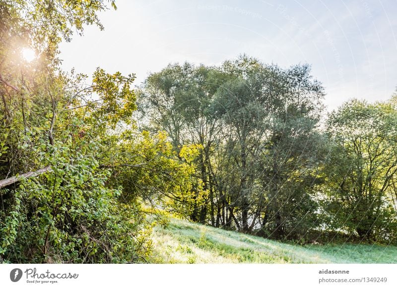 Landschaft bei Dachau Sommer Wald Hügel Unendlichkeit positiv grün Zufriedenheit Lebensfreude friedlich achtsam Gelassenheit Bayern München Farbfoto