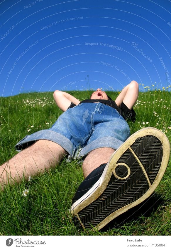 abratzen Sonnenstrahlen genießen Wiese grün Blume Gänseblümchen Löwenzahn Hügel Sommer Jahreszeiten Erholung Himmel Stimmung Schuhe gähnen Gelenk schlafen Mann