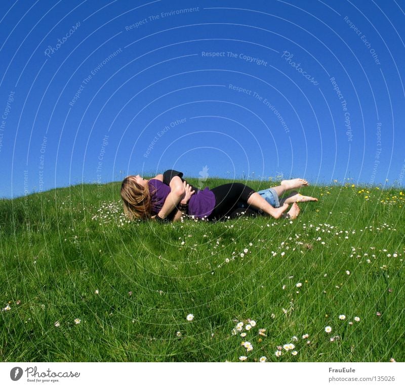 Bitte keine Disteln Sonnenstrahlen genießen Wiese grün Blume Gänseblümchen Löwenzahn Hügel Sommer Jahreszeiten violett Kleid Top Himmel Stimmung Erholung