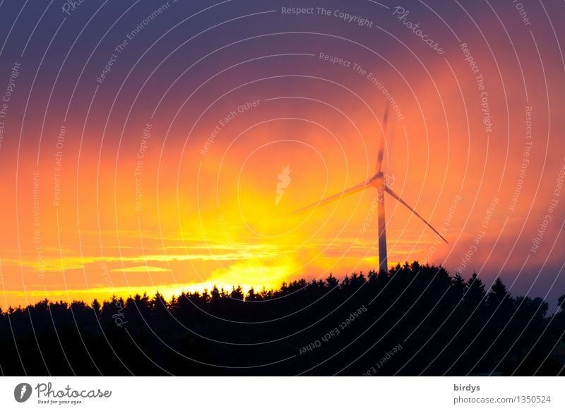 Sonnenwind Energiewirtschaft Erneuerbare Energie Windkraftanlage Natur Himmel Wolken Gewitterwolken Sonnenaufgang Sonnenuntergang Sonnenlicht Nebel Wald