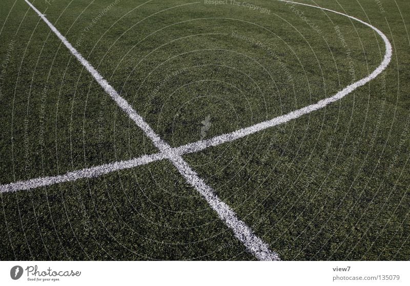 Fußballfeld Platz Wiese Gras Sport Weltmeisterschaft weiß rund Linie Sportplatz rein fein Sauberkeit Anstoß Frauenfußball Schiedsrichter Linienrichter