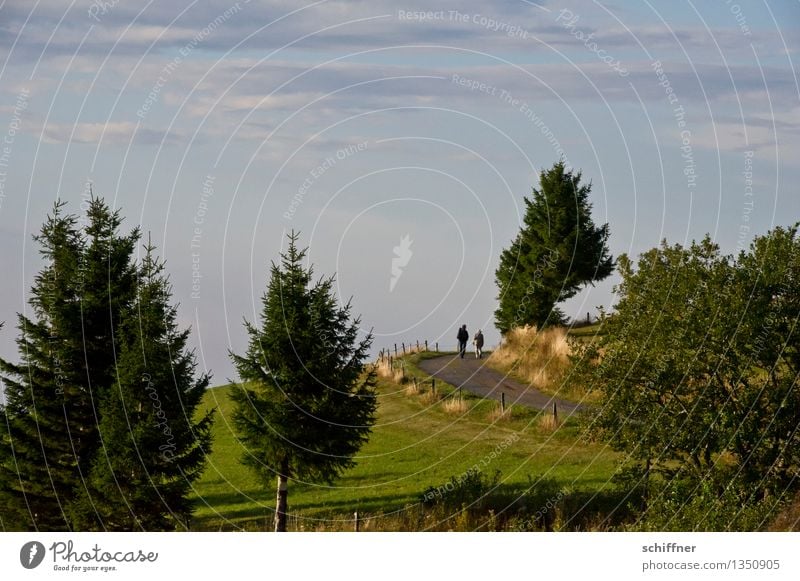 Soon Mensch Freundschaft Paar Partner 2 Umwelt Natur Landschaft Baum Wiese Hügel grün Wege & Pfade Himmelsstürmer Tanne Sträucher Weide Wolken Schwarzwald