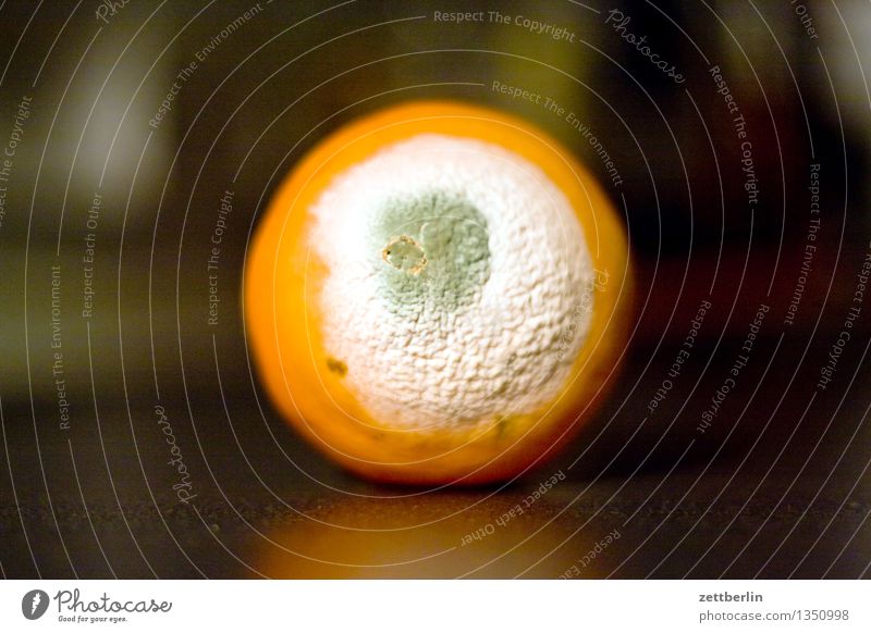 Verschimmelte Orange ist selten von Vorteil Frucht Vitamin Zitrusfrüchte Gesundheit Gesunde Ernährung Gesundheitswesen Krankheit Haltbarkeit mindesthaltbarkeit