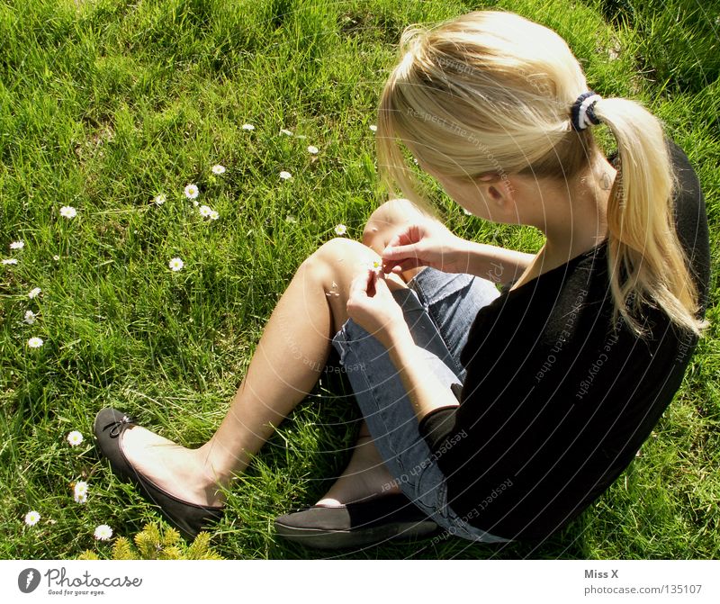 Er liebt mich, er liebt mich nicht... Frau Erwachsene Rücken Beine Frühling Schönes Wetter Blume Gras Blüte Garten Wiese blond Denken träumen warten