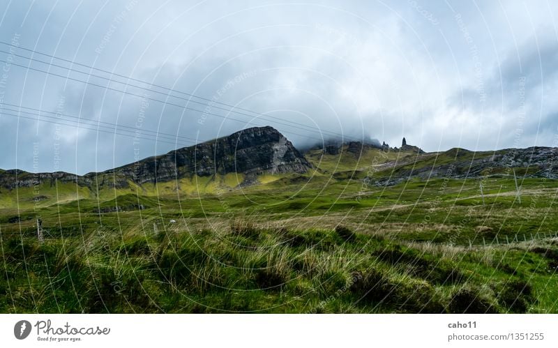 OLD MAN OF STORR IM NEBEL Natur Landschaft Himmel Wolken Wetter Wind Baum Blume Gras Sträucher Moos Farn Wald Hügel Felsen Berge u. Gebirge Meer Insel