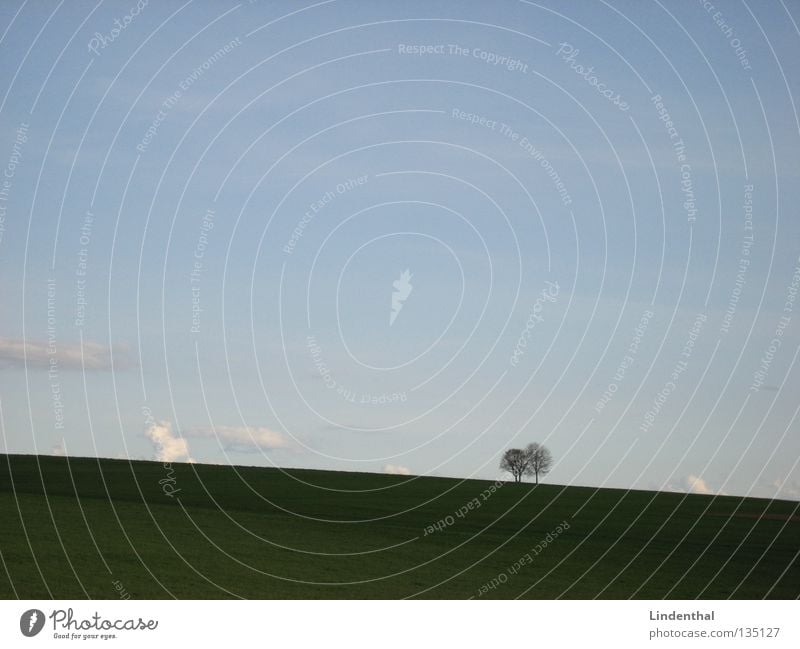 Einsam Zweisam Einsamkeit Baum Zusammensein Ehe Verbundenheit Horizont Wiese Feld baumpaar Himmel paarweise