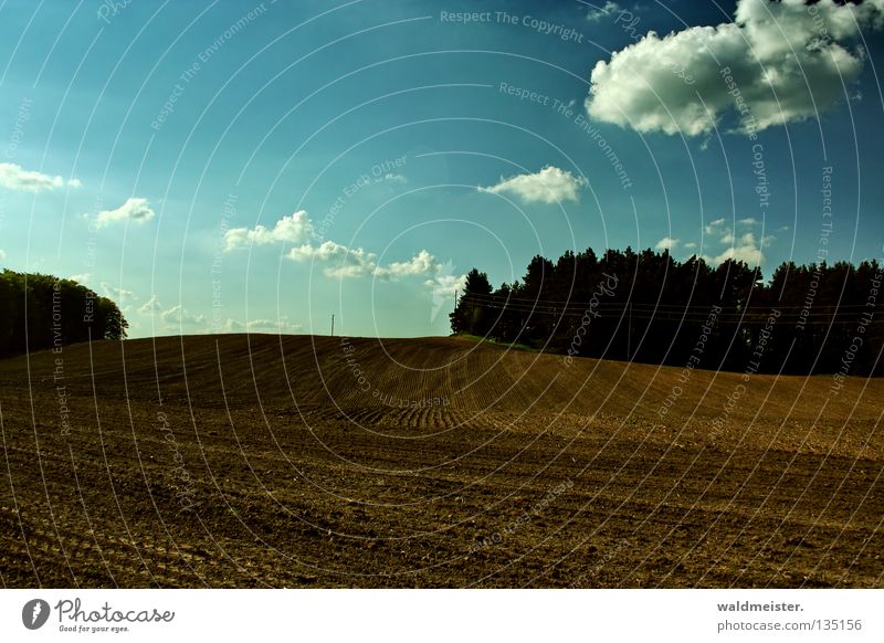 Feld im Frühling Mecklenburg-Vorpommern Ackerboden braun Baum Wald Wolken Herbst pflügen Traktorspur Landschaft Erde Bodenbelag Himmel umgepflügt