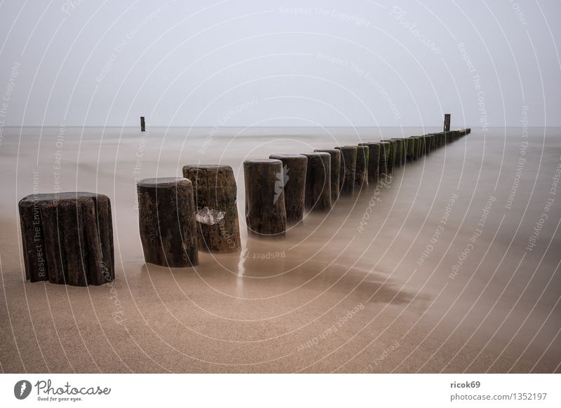 Buhne Erholung ruhig Ferien & Urlaub & Reisen Natur Landschaft Wolken Küste Ostsee Meer Idylle Tourismus Zempin Mecklenburg-Vorpommern Usedom Ostseeküste Himmel