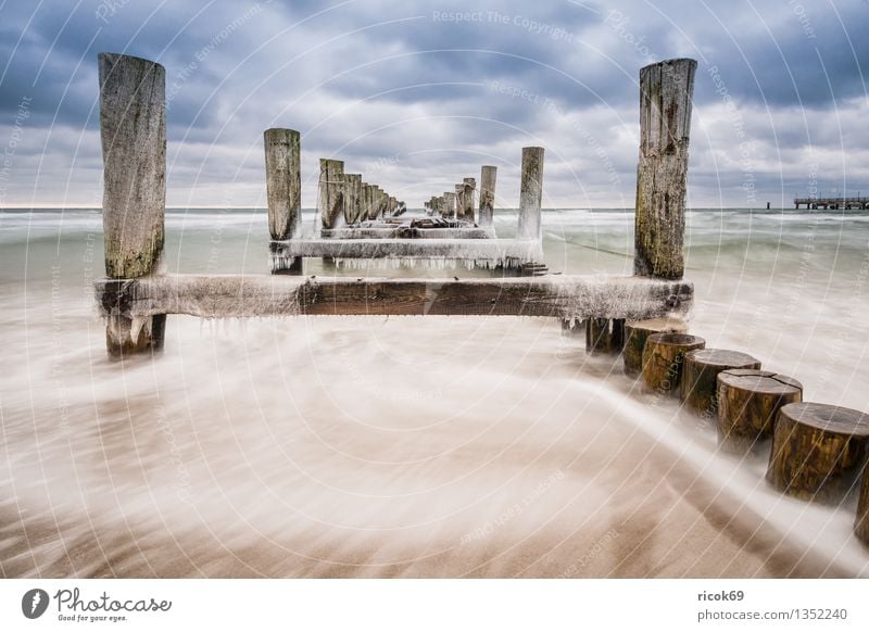 Buhne Ferien & Urlaub & Reisen Strand Winter Natur Landschaft Wasser Wolken Küste Ostsee Meer kalt blau Idylle ruhig Tourismus Eis Zingst Fischland Darß