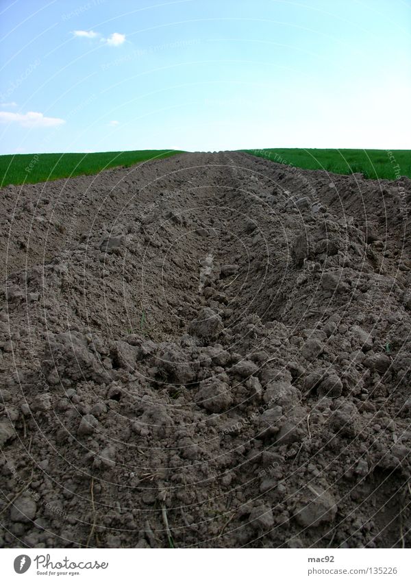 Einsames Feld grün braun Wiese Frühling Sommer Himmel Traktorspur