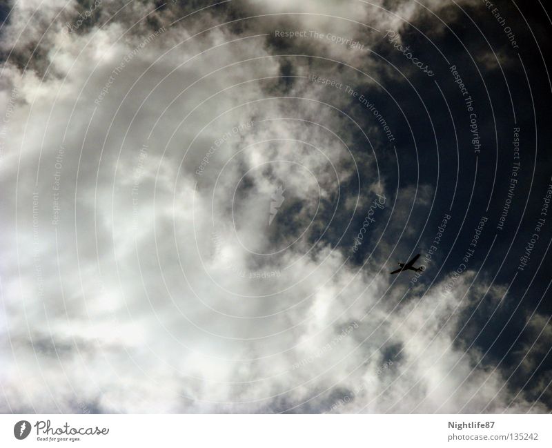 Freiheit Farbfoto Tag Freude Technik & Technologie Fortschritt Zukunft Luftverkehr Himmel Wolken Flugzeug Propellerflugzeug Flügel Watte oben blau weiß