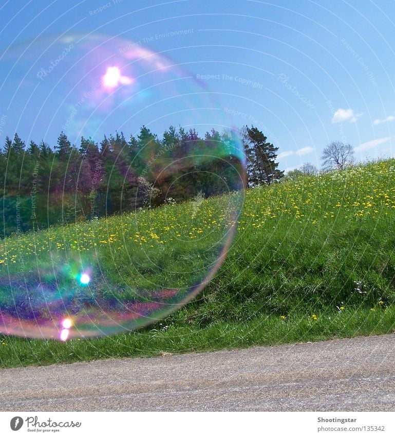 Vom Winde verweht Seifenblase platzen Blumenwiese Wald rund glänzend Sommer Frühling Blase Wege & Pfade