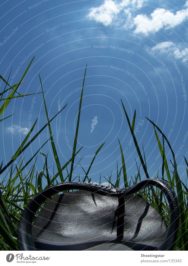 go off Flipflops Sommer Wiese Gras gehen stehen grün Ferien & Urlaub & Reisen blau himmelwärts Schuhe ruhig Pause laufen liegen