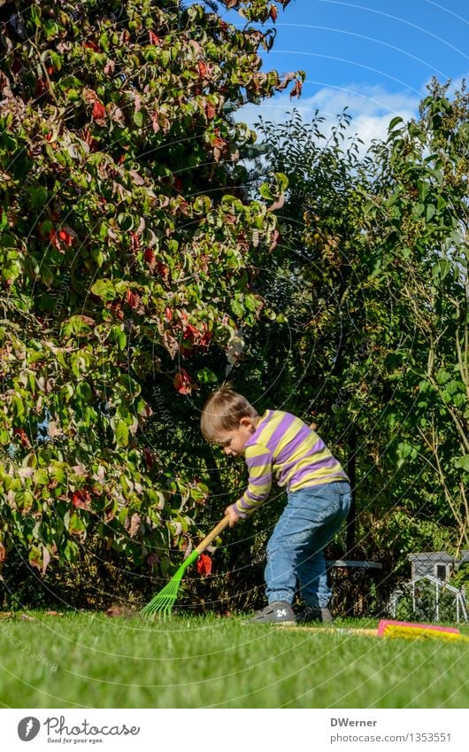 Saisonkraft Freizeit & Hobby Garten Gartenarbeit Besen Mensch Kleinkind Junge 1 3-8 Jahre Kind Kindheit Himmel Schönes Wetter Pflanze Baum Gras Park Wiese