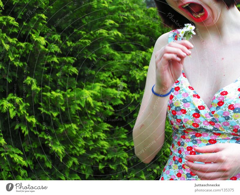 Bon Appétit Frau Sommer Sommerkleid Blume Gänseblümchen Appetit & Hunger Mahlzeit Guten Appetit satt Rohkost Ernährung grün roh verrückt Gesundheit