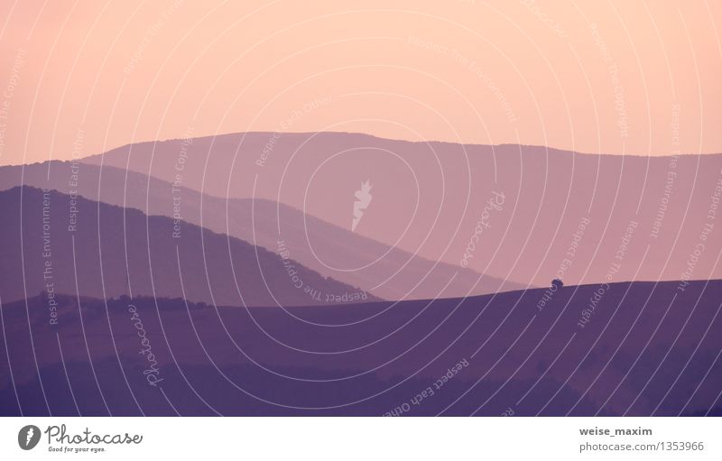 Karpaten Abend Natur Landschaft Erde Luft Himmel Schönes Wetter Pflanze Baum Wiese Hügel Berge u. Gebirge violett rosa rot Farbfoto Außenaufnahme