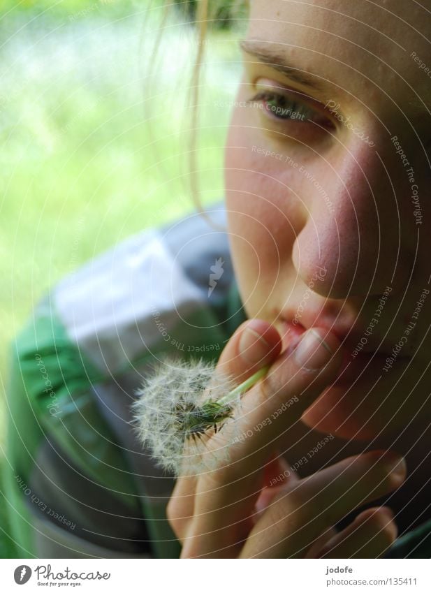 Rauchen gefährdet die Gesundheit! Blume Löwenzahn Frau Mädchen feminin Finger Hand Hemd Bluse vergangen beenden Abhängigkeit ruhig Mensch Auge Nase Mund