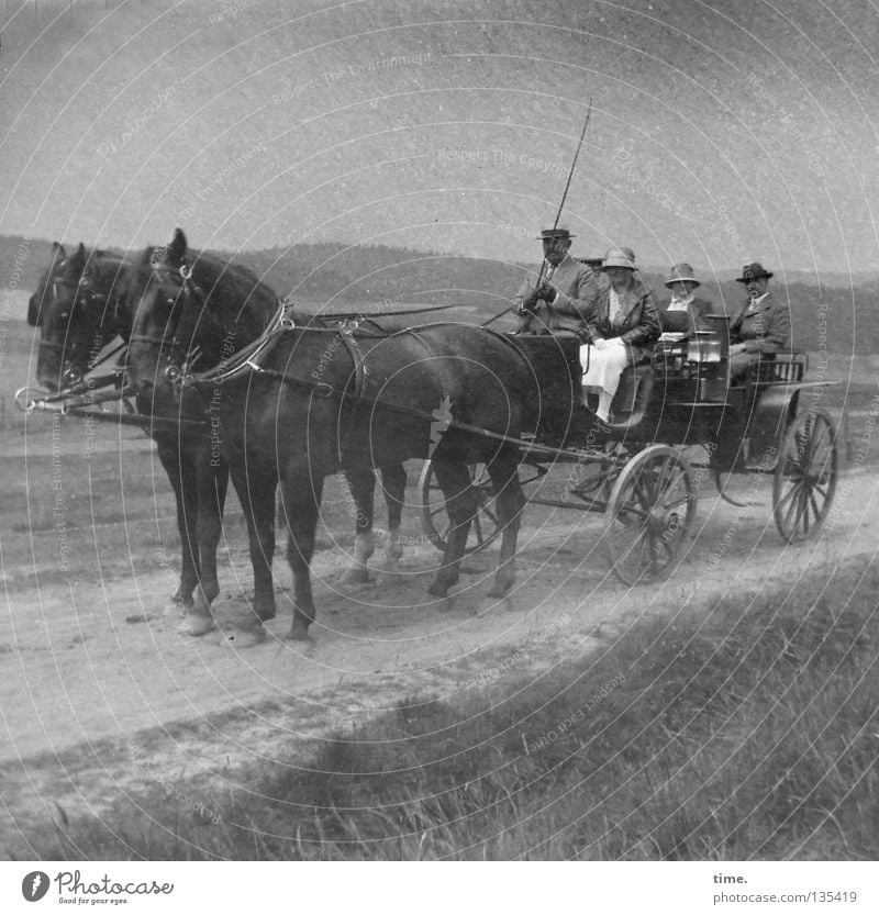 Pole Position Spielen Ausflug Reitsport Frau Erwachsene Mann Verkehr Pferdekutsche dunkel Gesellschaft (Soziologie) Zaumzeug ländlich Landweg Sandweg Peitsche