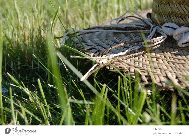 kein Bett und kein Kornfeld Strohhut Muschel Gras Spagat Wiese grün braun beige Erholung Sommer Picknick Pause wandern Freizeit & Hobby genießen heiß Kühlung