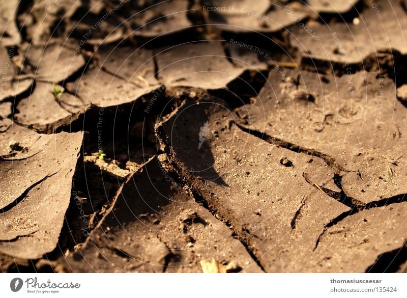 Lebensfern Riss Vulkankrater trocken braun dunkel ungemütlich Müdigkeit Staub Physik Wüste Bodenbelag Tod hell karr Erde Sand bröslig Wärme Schatten errosion