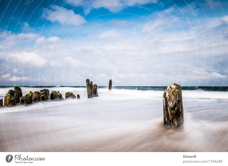 Parallelen Natur Landschaft Urelemente Sand Luft Wasser Himmel Wolken Sonnenlicht Herbst Wetter Schönes Wetter Wind Sturm Wellen Küste Strand Ostsee Meer blau