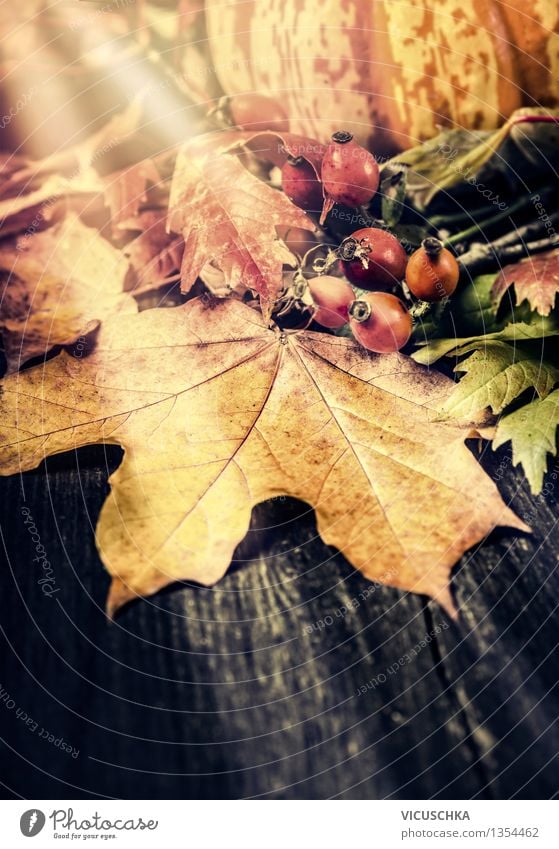 Herbststimmung auf dem Gartentisch Stil Design Haus Traumhaus Innenarchitektur Dekoration & Verzierung Tisch Feste & Feiern Erntedankfest Halloween Natur