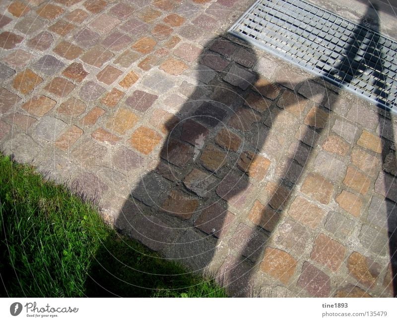 schattenspiel grün Gras saftig Physik Sommer Außenaufnahme Schatten deutlich Mensch Garten Sonne hell Wärme Schönes Wetter Freude Freiheit Glück