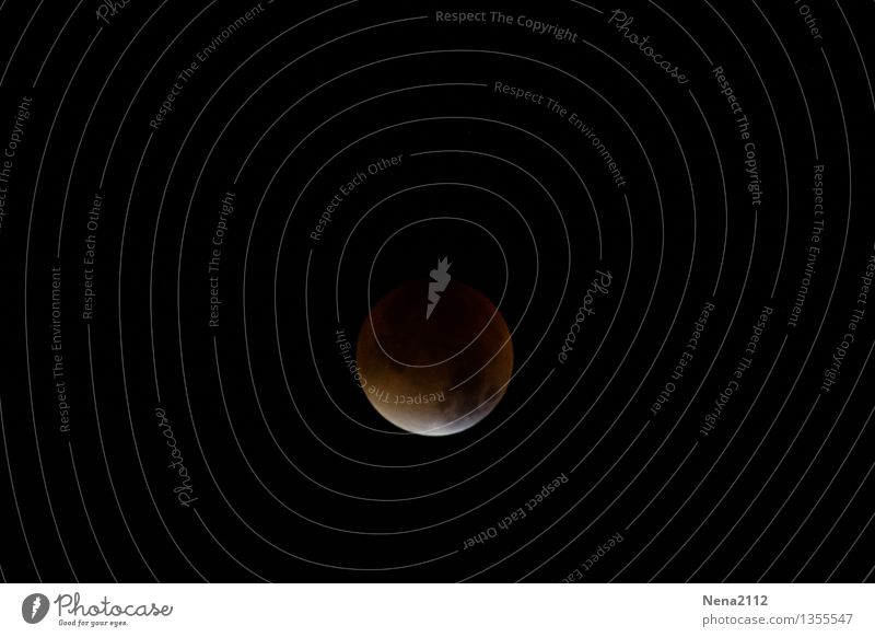 MoFi 3 Umwelt Natur Urelemente Himmel Himmel (Jenseits) Nachthimmel Mond Mondfinsternis Vollmond ästhetisch außergewöhnlich bedrohlich dunkel fantastisch Ferne