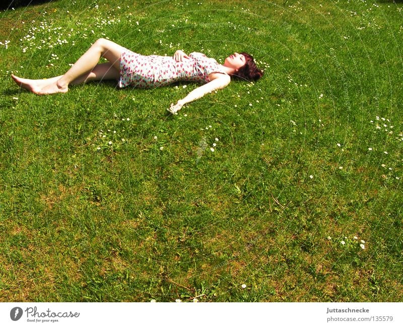 Keine Ameise Frau Gras Wiese Sommer Sommerkleid Blume Müdigkeit Erholung genießen harmonisch angenehm Frieden liegen rumliegen rumkugeln Rasen. Garten bequem