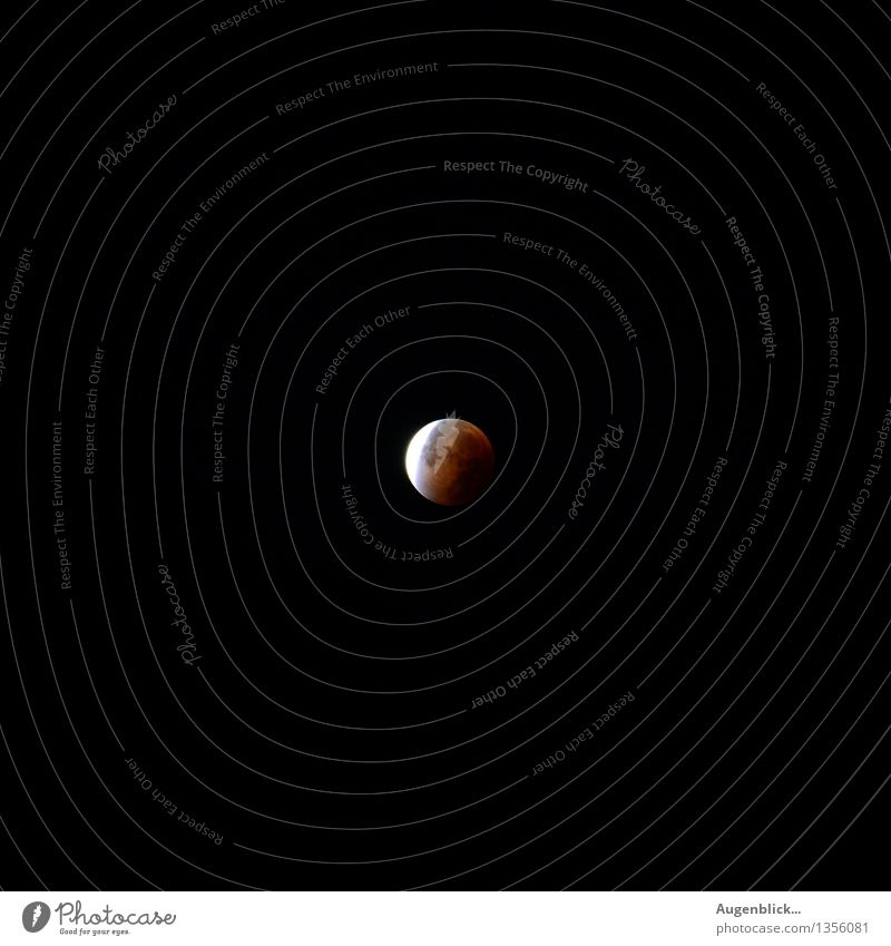 Mondfinsternis 28.09.2015 irgendwann Nachts... Wolkenloser Himmel Stern Herbst Schönes Wetter entdecken Blick warten gigantisch orange rot schwarz weiß Ferne