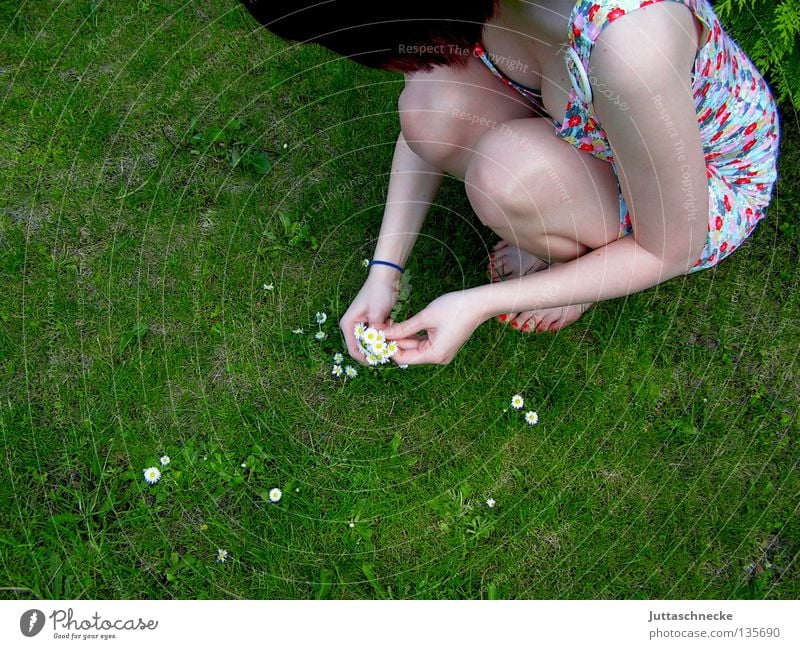 Biologische Unkrautvernichtung Frau Blume Wiese Sommer Frühling verträumt Gänseblümchen träumen Denken hocken Schönes Wetter Flowerpower Hippie ducken Romantik